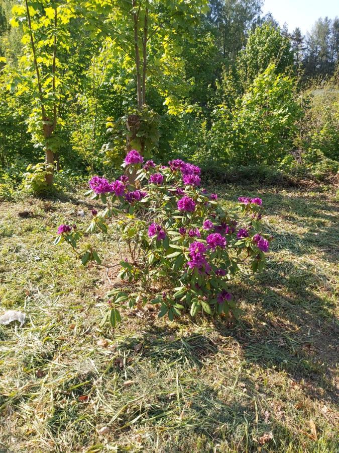 Auf Dem Roten Fels Eppenbrunn Esterno foto
